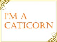 Caticorn Caticorn