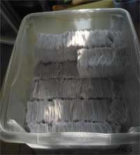 scrapsgross09a scrapsgross09a