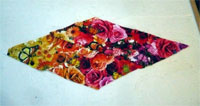 GelbRotRaute1